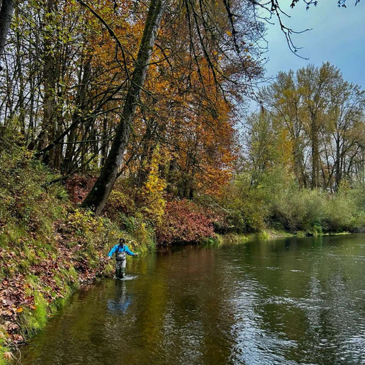 Creek fishing angler wearing blue jacket wading upstream in shallow stream with fall foliage and trees, demonstrating proper wading technique for smallmouth bass fishing
