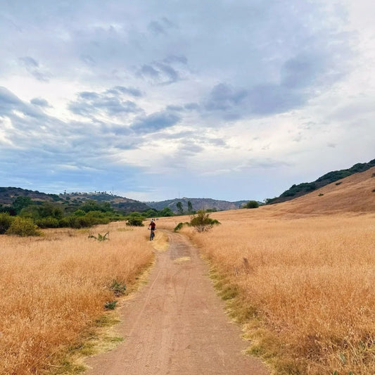 Hikers walking through golden grassland trail at Los Peñasquitos Canyon Preserve, demonstrating the diverse ecosystems found on San Diego hiking trails
