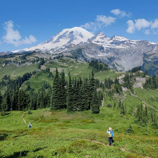 Hikers walking through vibrant wildflower meadows with Mount Rainier's glaciated peak in the background on the Wonderland Trail
