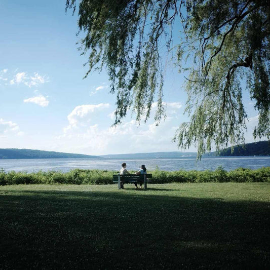 A peaceful lakeside scene with two people sitting on a park bench under the shade of a weeping willow tree. The calm lake and a distant shoreline are visible in the background.