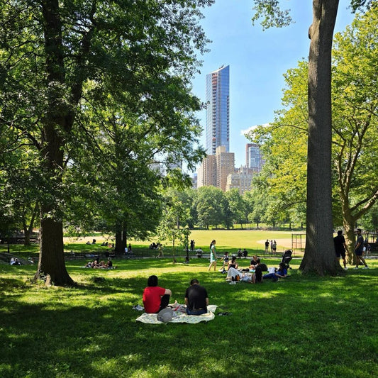 People sitting on blankets under shade trees in Central Park with Manhattan buildings visible through foliage