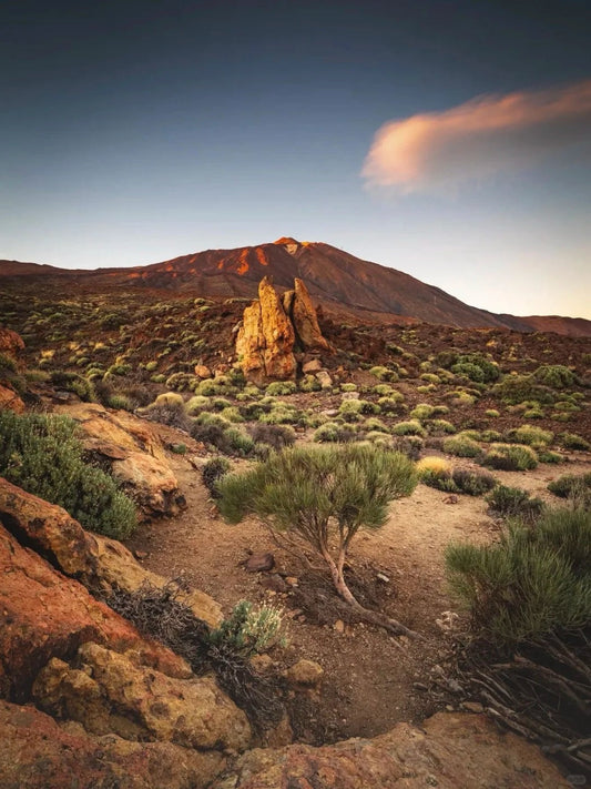 Volcanic rock formations and trailhead landscape on the Roques de García hike in Tenerife.