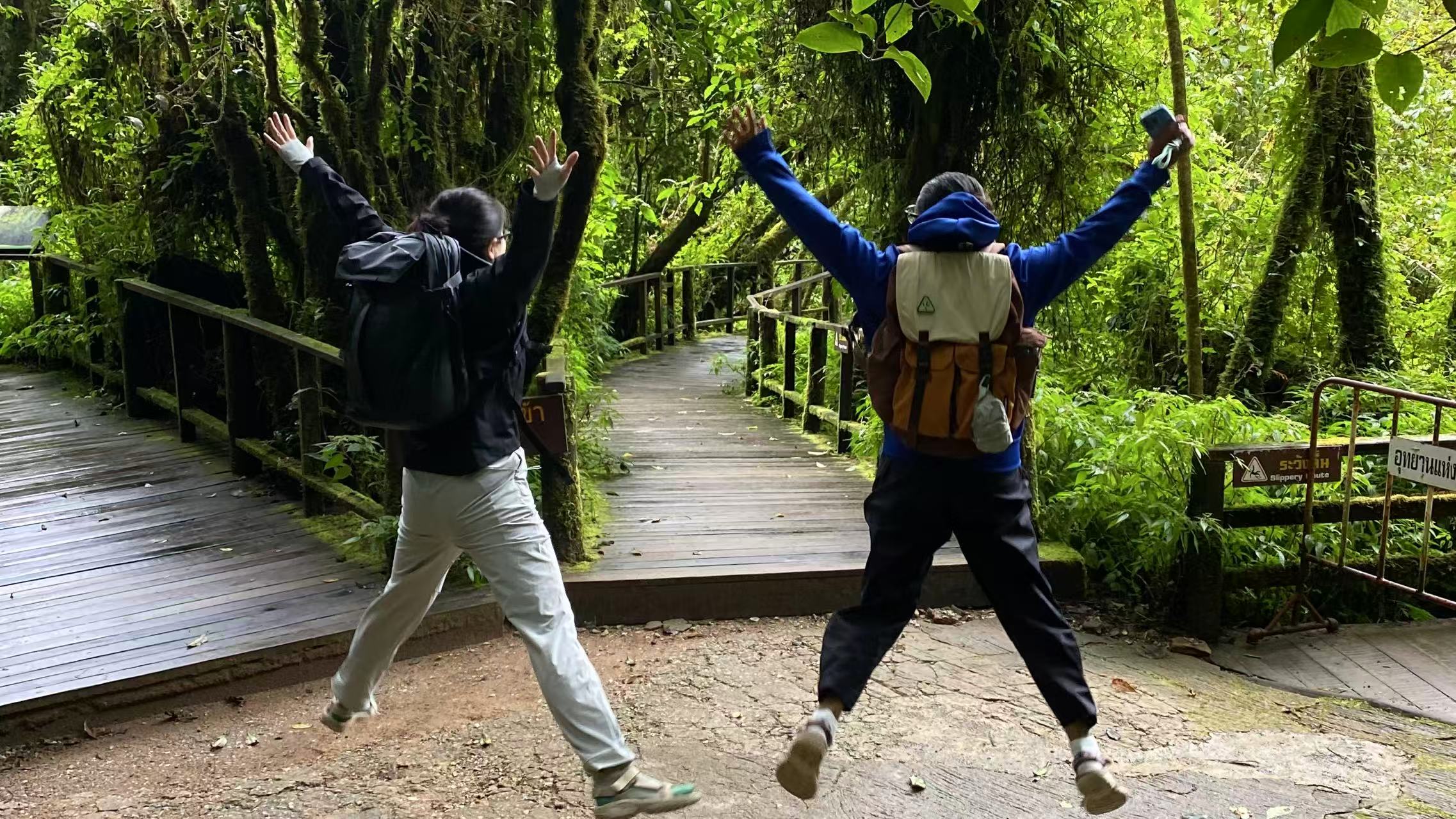 Two hikers with lightweight backpacks on forest trail