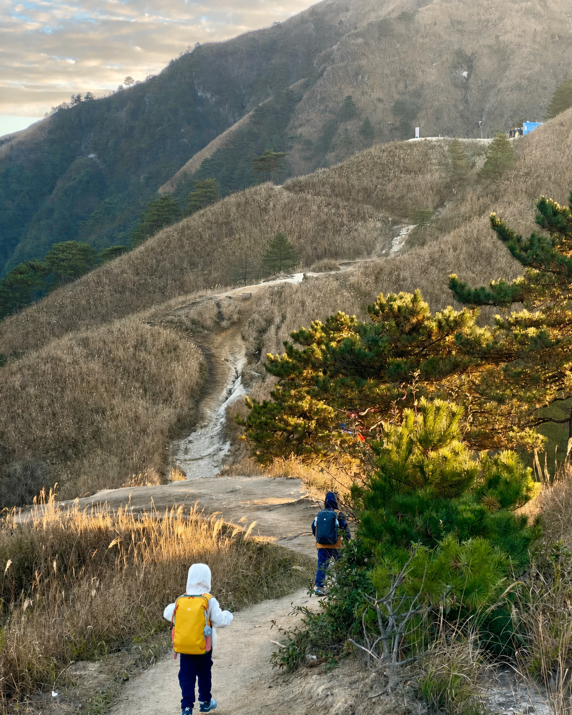 Hiking With Kids: A Practical Guide to the First Family Hike