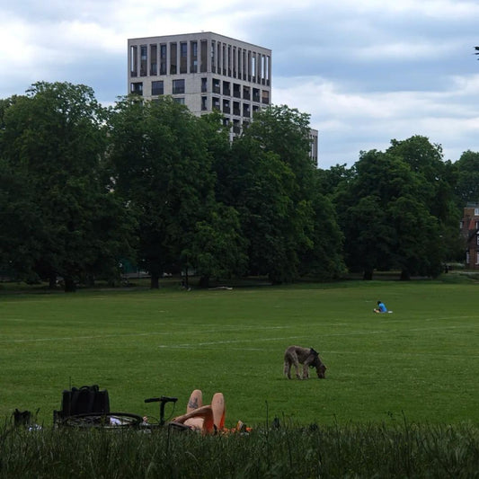 Person with bicycle sitting on grass field at Clissold Park with modern building visible through trees