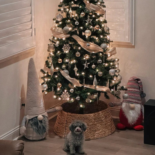 Christmas tree with decorations and gifts perfect setting for teen Christmas gift ideas