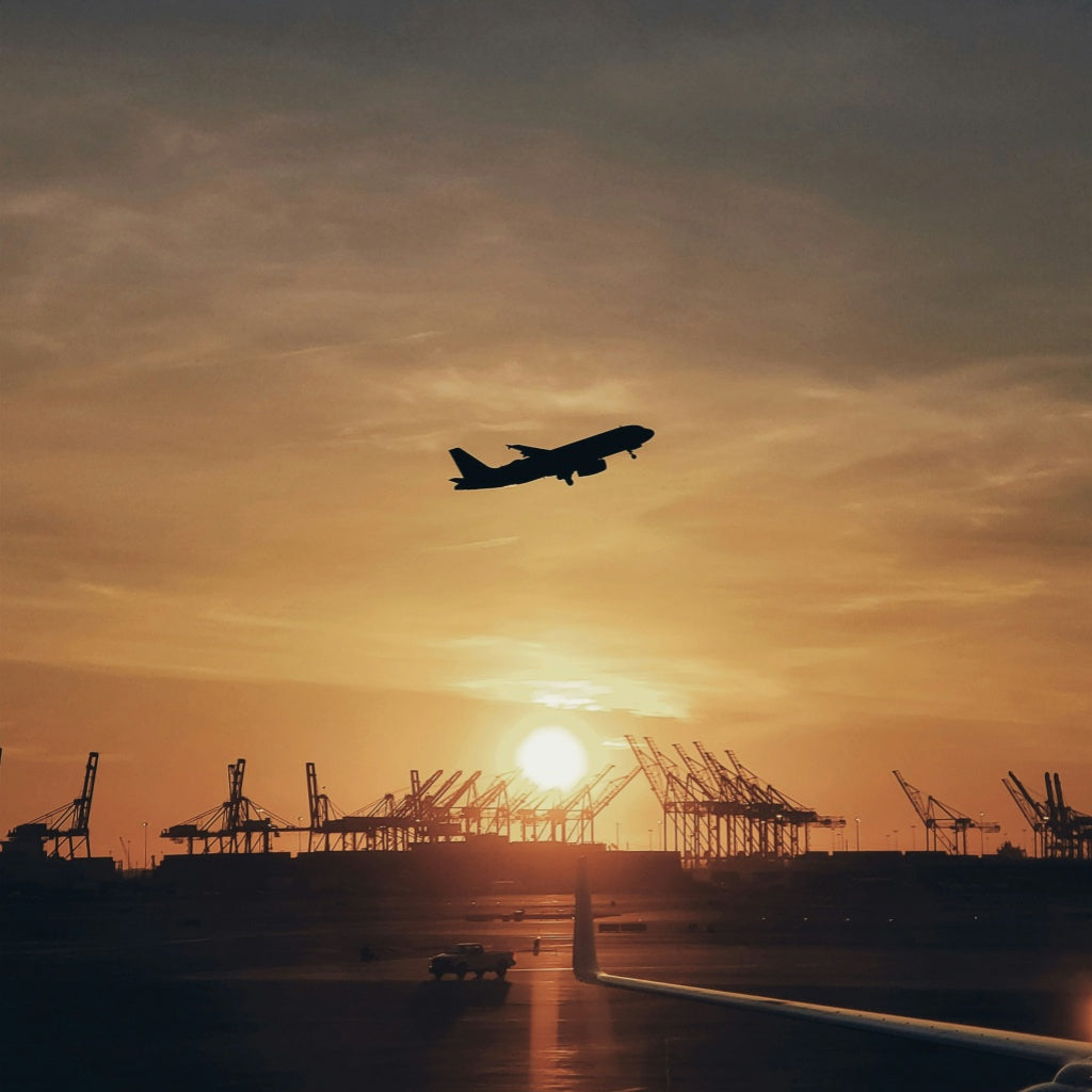 Silhouette of an airplane taking off at sunset over an airport terminal, symbolizing international pet travel and digital nomad relocation.