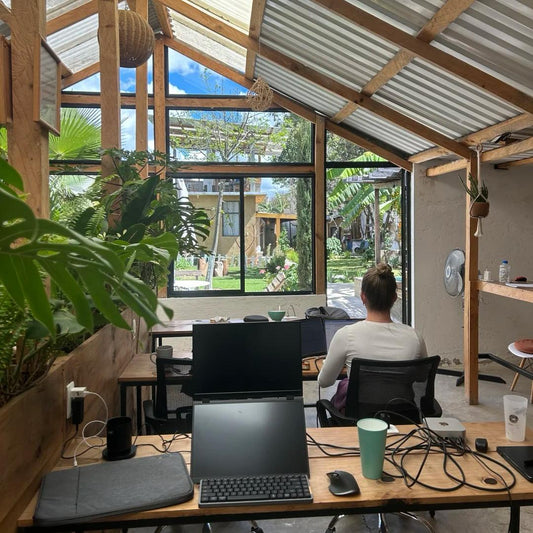 Digital nomad working in bright glass-roofed coworking space in Mexico City with garden view representing productive digital nomad lifestyle