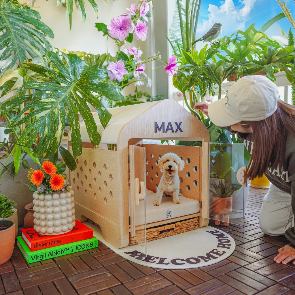 A small white poodle dog sitting happily inside a modern wooden indoor dog house labeled 'MAX' on a balcony surrounded by lush green monstera plants and pink flowers, with a woman kneeling beside it.