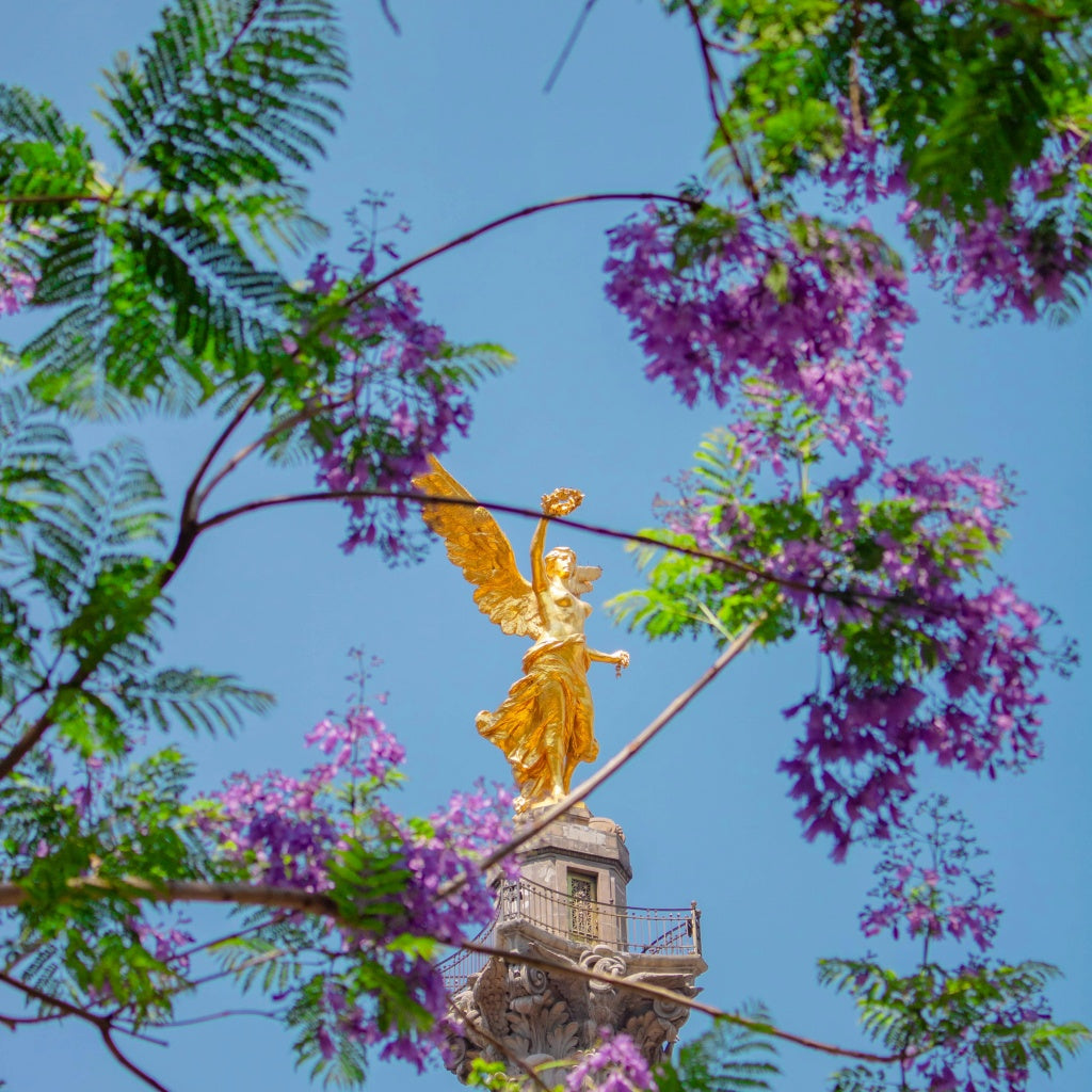 Looking up at the golden Angel of Independence monument in Mexico City, framed by blooming purple jacaranda tree branches against a clear blue sky.