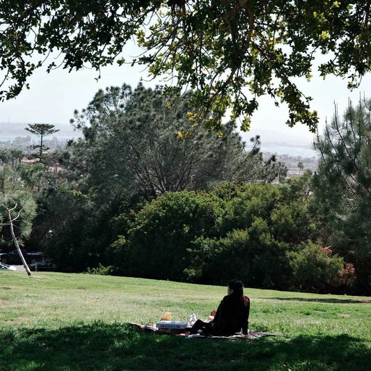 Person sitting on picnic blanket in green park space with trees and distant city skyline visible