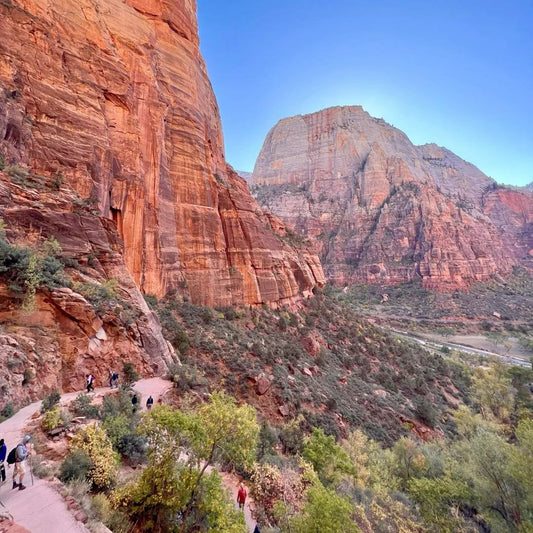 Hiking Snacks Essentials: 10 Must-Have Items for Perfect Outdoor Dining