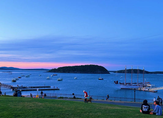  Sunset glow over Bar Harbor, seen from Acadia’s shoreline overlook