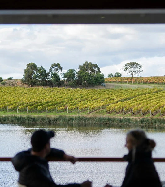 Silhouettes of two people relaxing by a window overlooking vineyard rows and a calm river in Australia