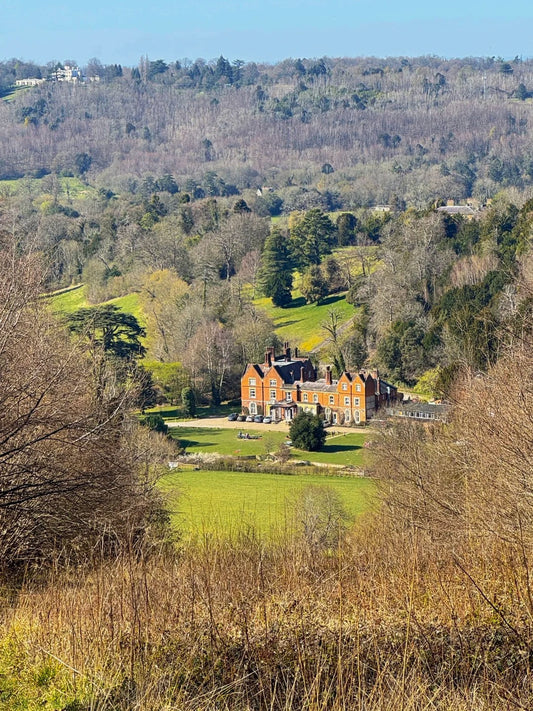 View from Box Hill ridge showing distant trees, cottages, and a peaceful countryside valley