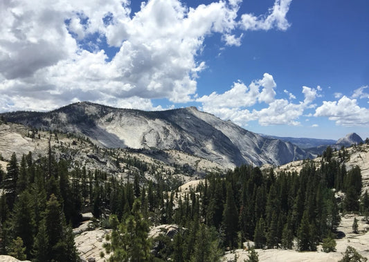 Scenic rim view over pine-covered cliffs at Bryce Canyon National Park, Utah