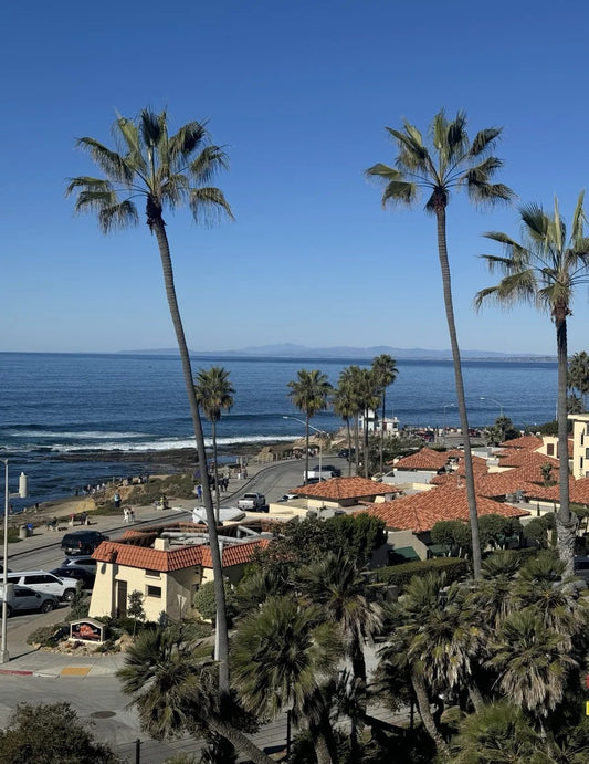 Palm trees by the beach in Southern California on a clear spring day