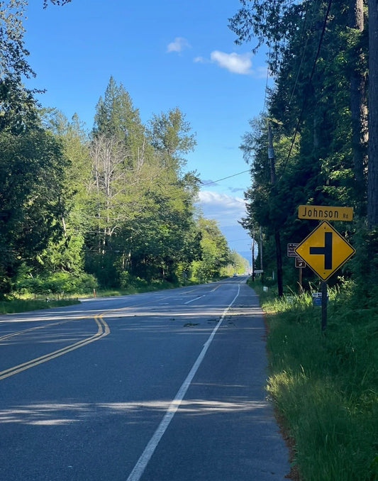 Quiet road through trees on the way to the US border at Point Roberts