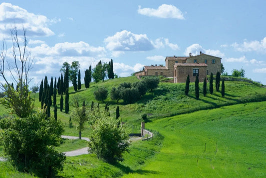 View of Colline di Pienza with iconic Tuscan cypress trees