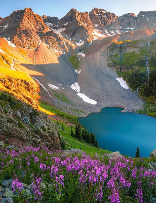 Wildflowers in bloom by an alpine lake in Colorado, backed by snow-dusted peaks under clear sky