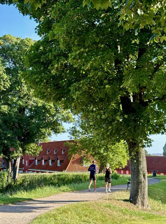 Tree-lined park near the Little Mermaid statue, perfect for a quiet morning run