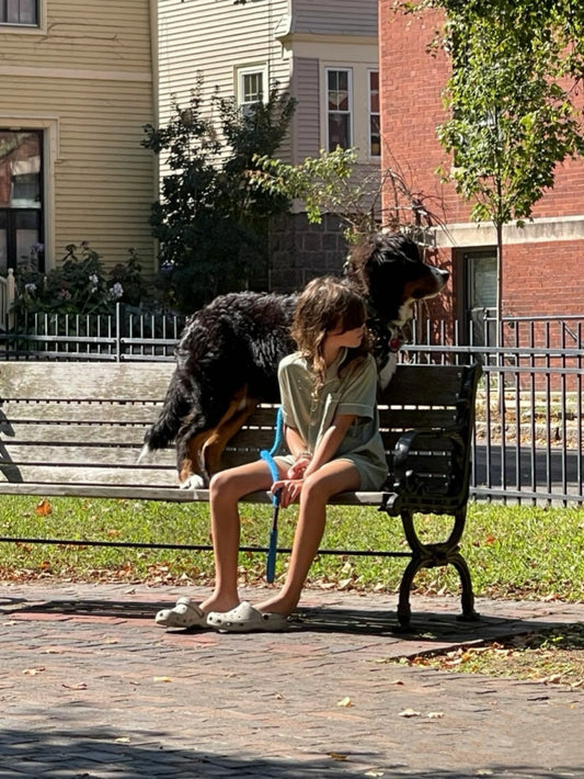 A calm scene of a girl and her dog resting on a bench — reflecting BackpackBeat’s values of companionship and kindness.