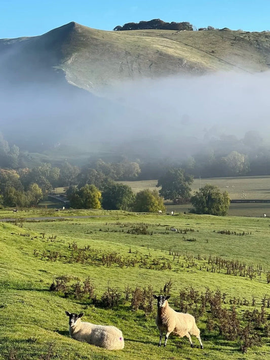 Early morning view of misty hills and grazing sheep in Dovedale, Peak District National Park