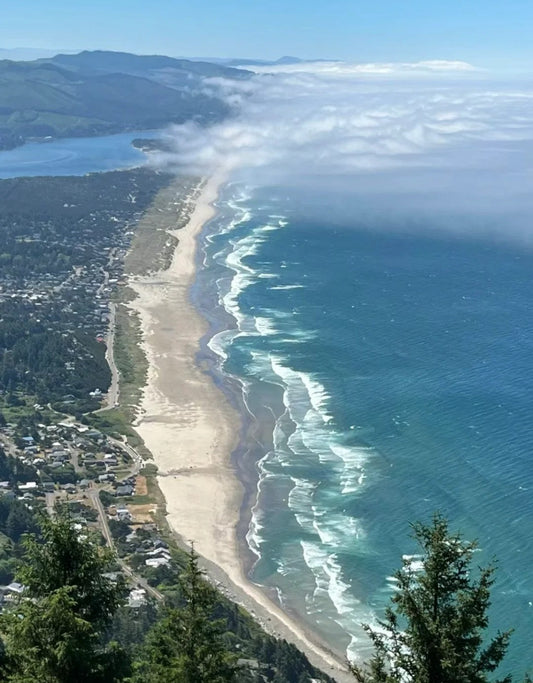 Aerial view of Oregon’s dramatic coastline, long sandy beaches stretching toward the Pacific