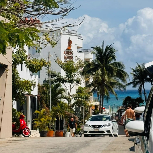 Palm tree-lined street in Playa del Carmen leading to Caribbean Sea - typical digital nomad lifestyle location in Mexico