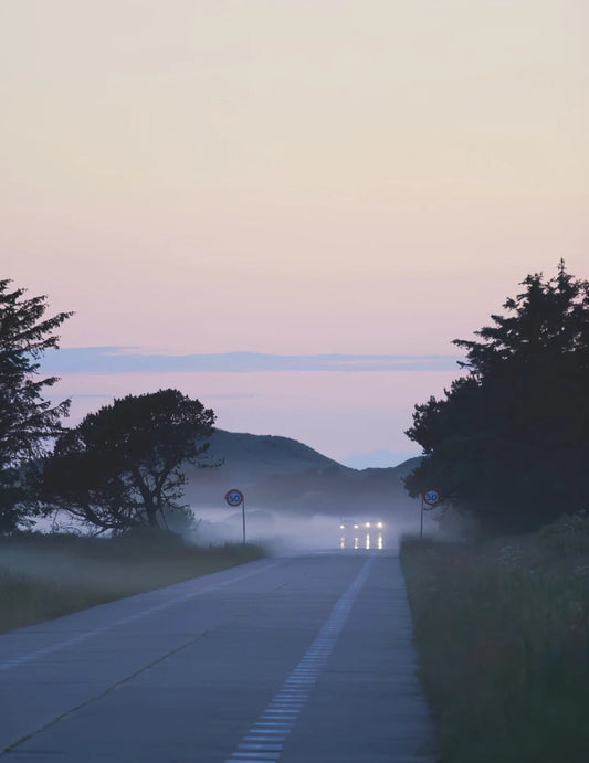 Lonely road leading toward Rabjerg Mile at dusk, with headlights cutting through the fog