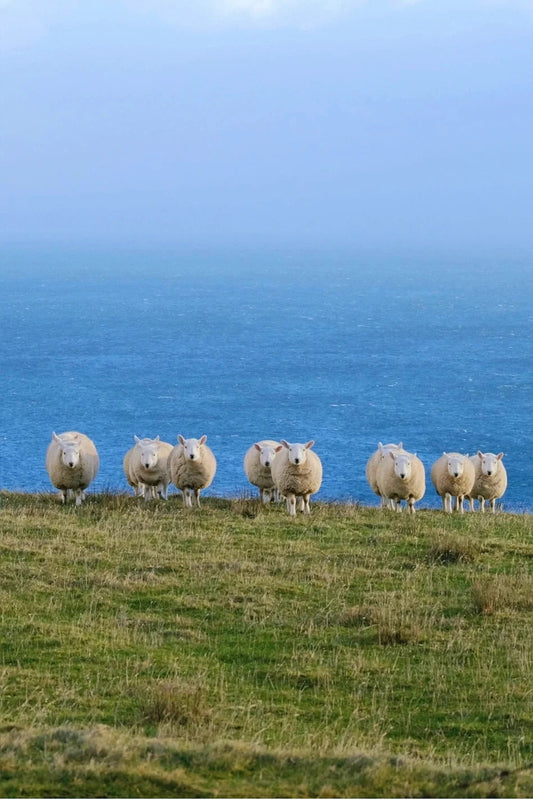 What’s So Special About the Isle of Skye? A 3-Day Adventure Through Scotland’s Dreamiest Island