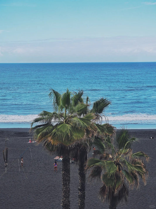 Black sand beach with palm trees on the southern coast of Tenerife, Spain.