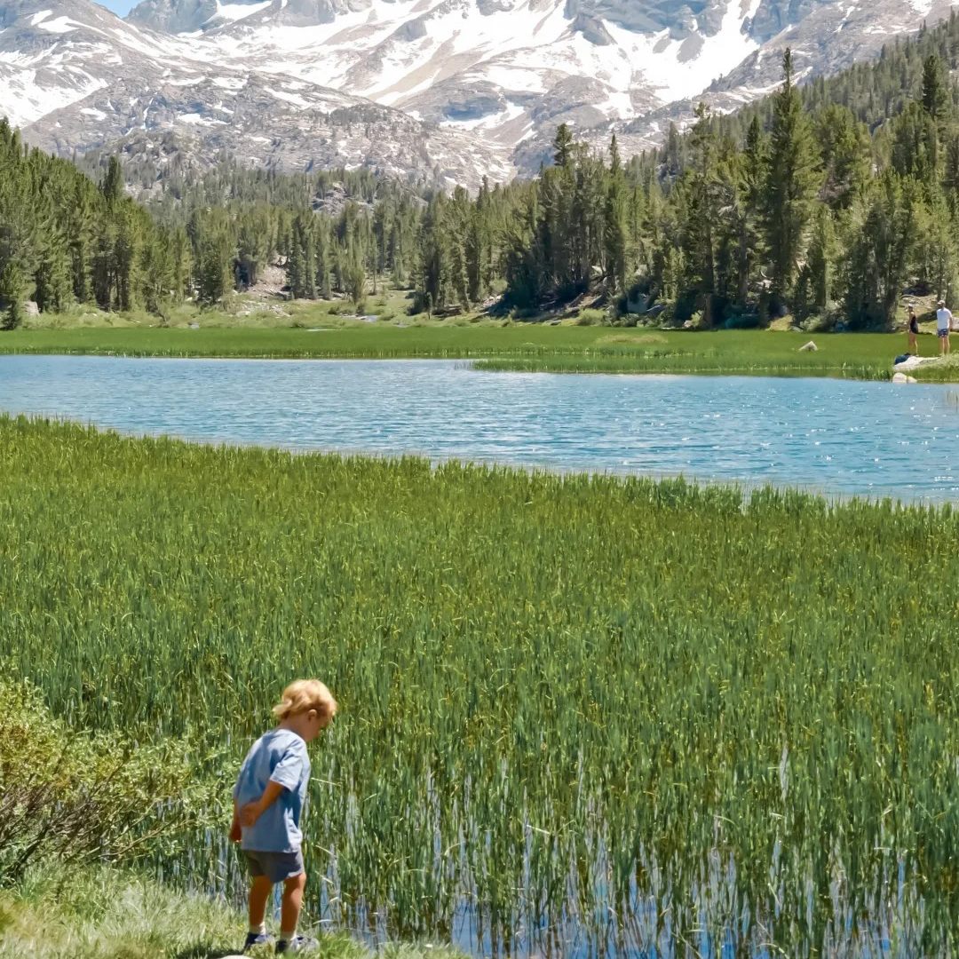 Toddler exploring the shoreline of an alpine lake during a parent-child hike, Little Lakes Valley