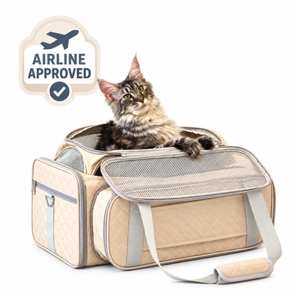 Large cat sitting inside the beige P8100 expandable pet carrier with the mesh front panel opened