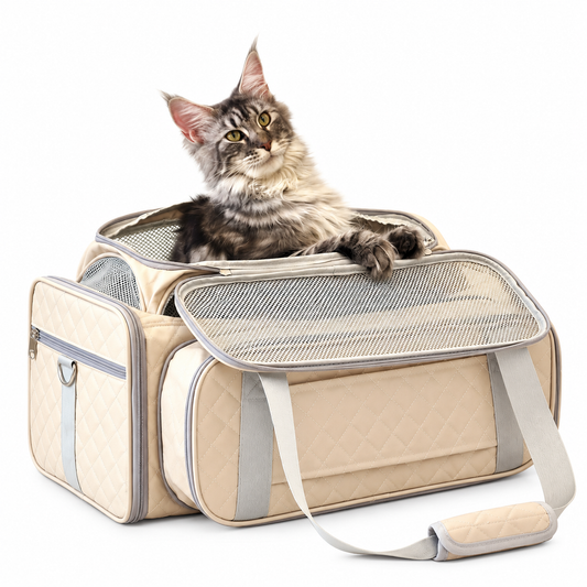 Large cat sitting inside the beige P8100 expandable pet carrier with the mesh front panel opened