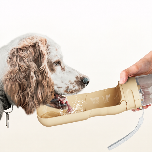 p801 warm beige portable dog water bottle held by hand with foldable trough open, spaniel dog drinking, white background