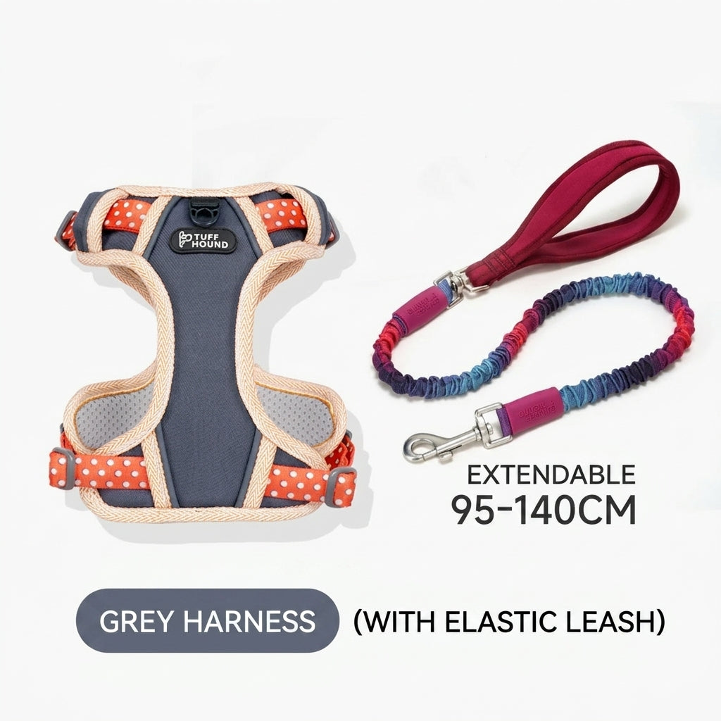 p805 grey dog harness with orange polka dot trim and purple-red bungee leash set, extendable 95–140cm, white background