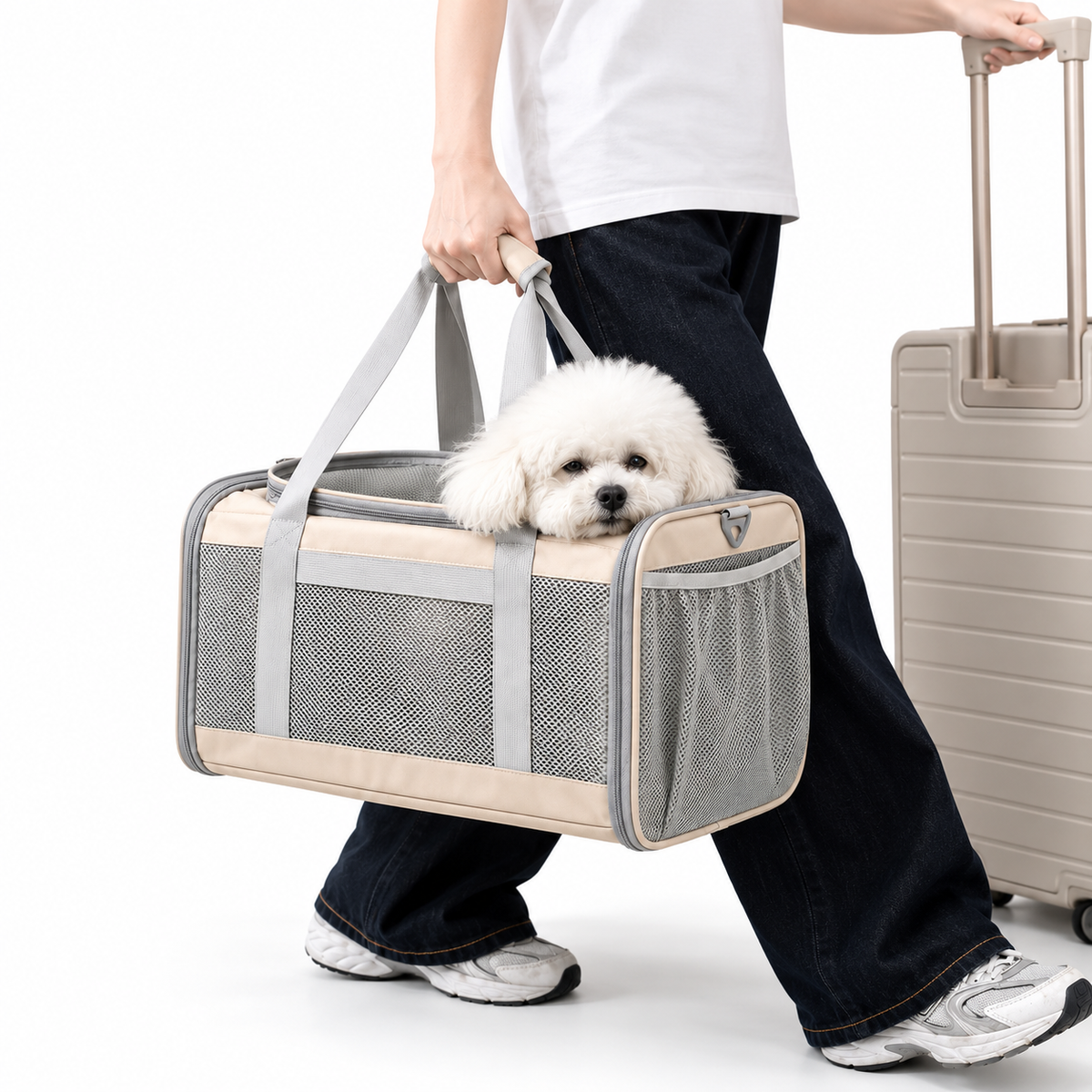 Traveller carrying a small white dog in the beige P8111 soft-sided pet carrier beside a rolling suitcase