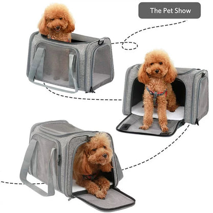 Small dog using the top and side entrances of the grey P8112 foldable soft-sided pet carrier