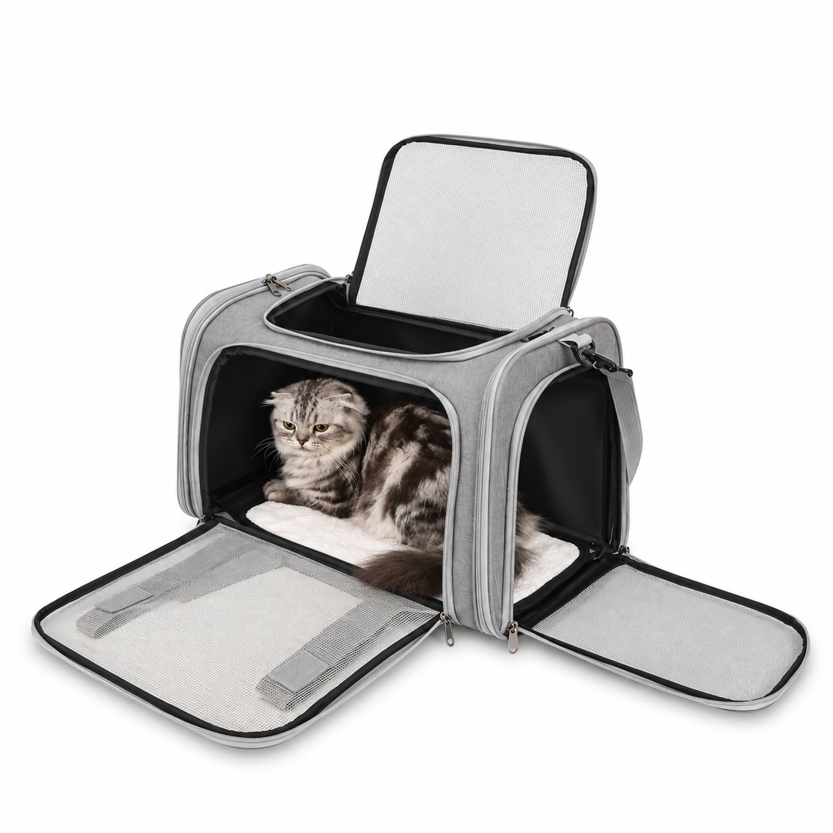 Cat inside the grey P8112 pet carrier with its top, front and side mesh openings unzipped